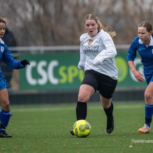dames 7